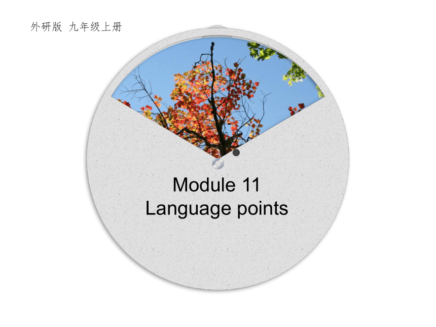 Module 11 Photos Language points(共25张PPT)
