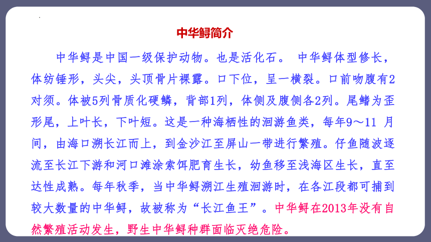 6.3 保护生物的多样性 课件(共41张PPT)2023-2024学年人教版生物八年级上册