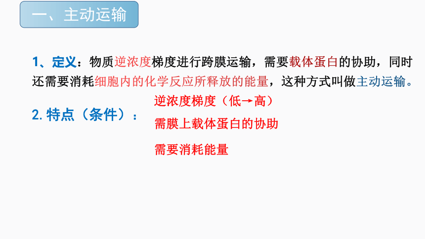 4.2主动运输与胞吞、胞吐（1.5课时）(课件共19张PPT)