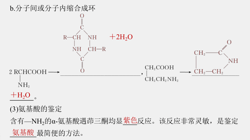 高中化学苏教版（2021）选择性必修3 专题6  第二单元 第1课时　氨基酸、蛋白质（76张PPT）