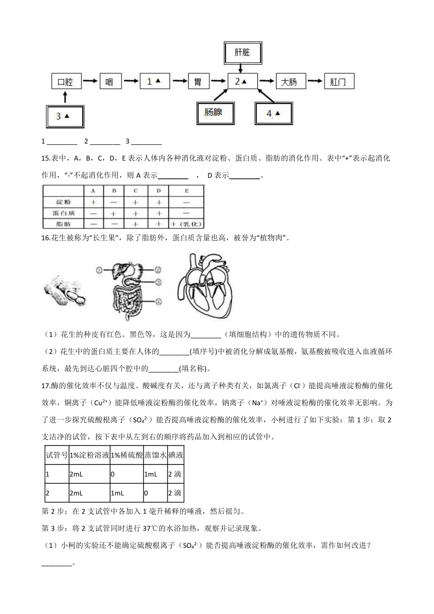 2021年初中（浙教版）科学二轮复习专题06：呼吸和消化 (含解析)