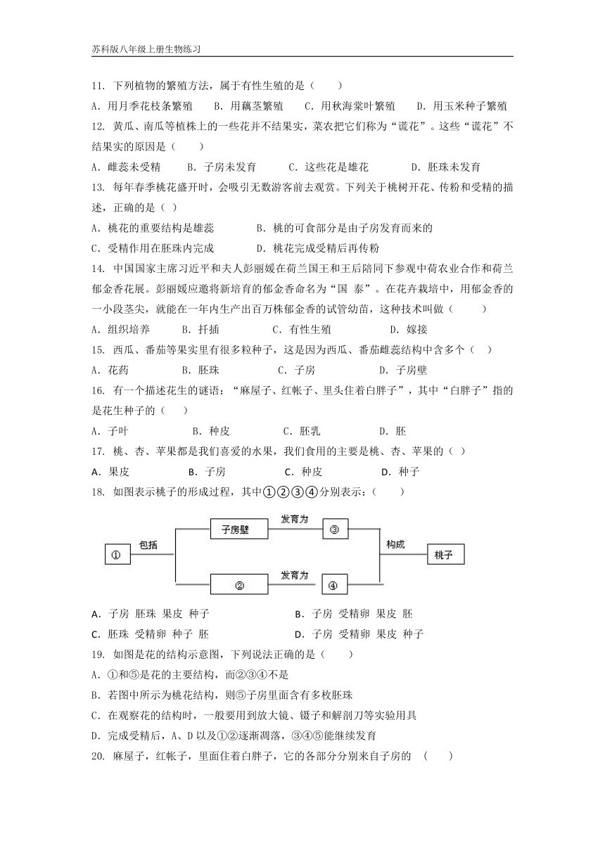 苏科版 八年级上册生物7.19.1  植物的生殖 课时练习（Word版含答案）