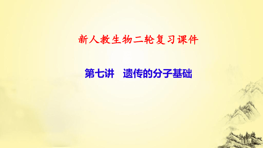 新人教生物二轮复习课件7 遗传的分子基础(课件共72张PPT)