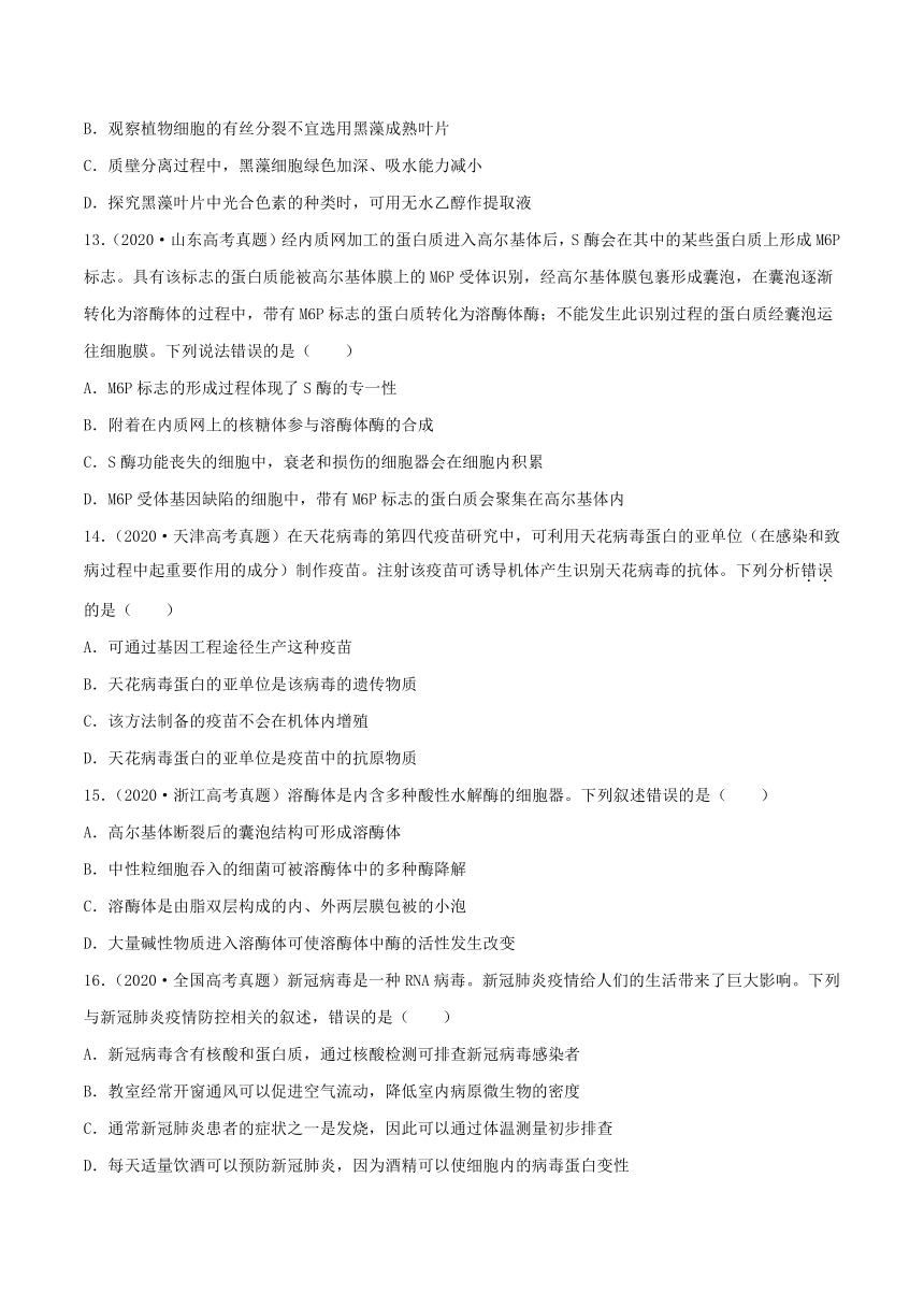 2022年高考生物三年高考真题及模拟题分类汇编：细胞的结构与功能  （Word版含解析）