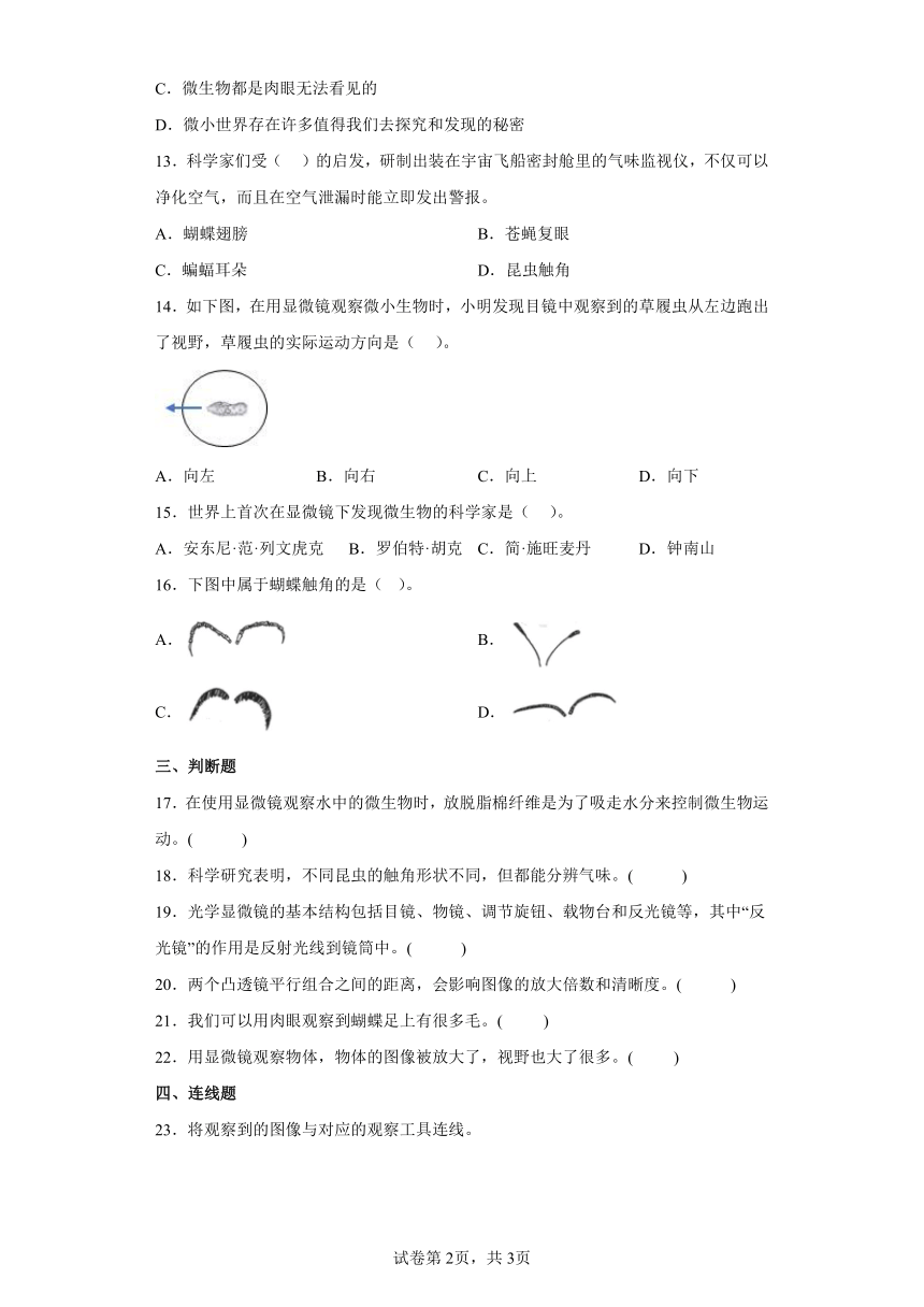 教科版（2017秋） 六年级上册2.3人类认识地球运动的历史 同步练习（含答案）