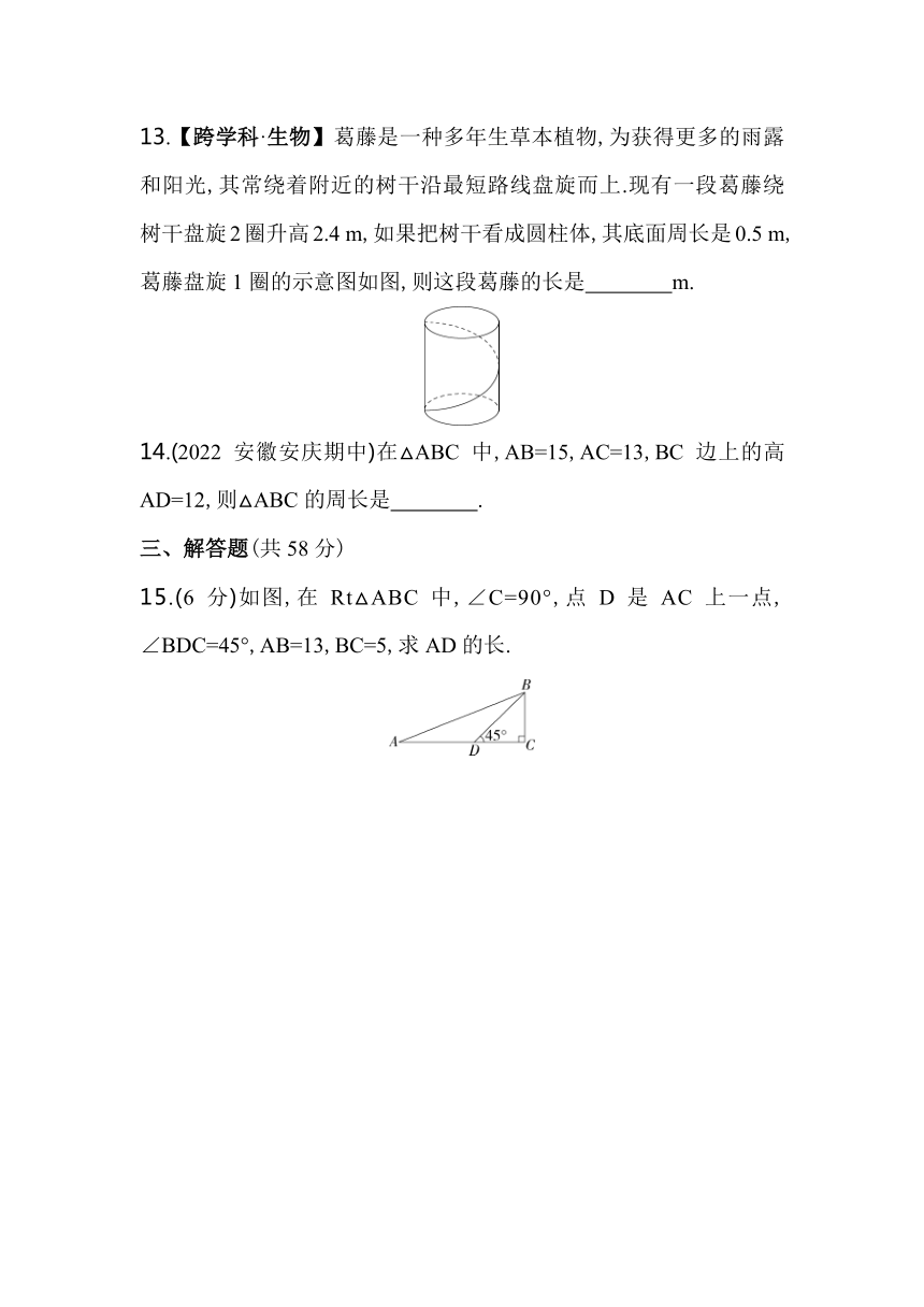 沪科版数学八年级下册第18章　勾股定理综合检测（含解析）