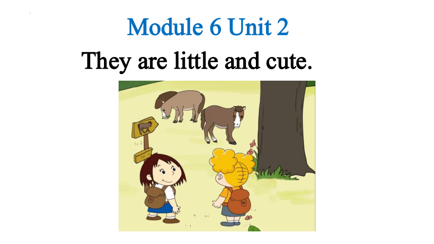 Module 6 They‘re little and cute课件(共24张PPT)