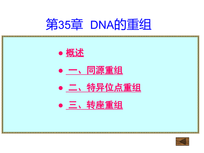 2020-2021学年高中生物竞赛DNA的重组课件(22PPT)