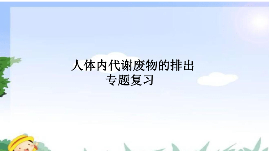 济南版生物七年级下册 3.1人体内废物的排出复习 课件(共27张PPT)