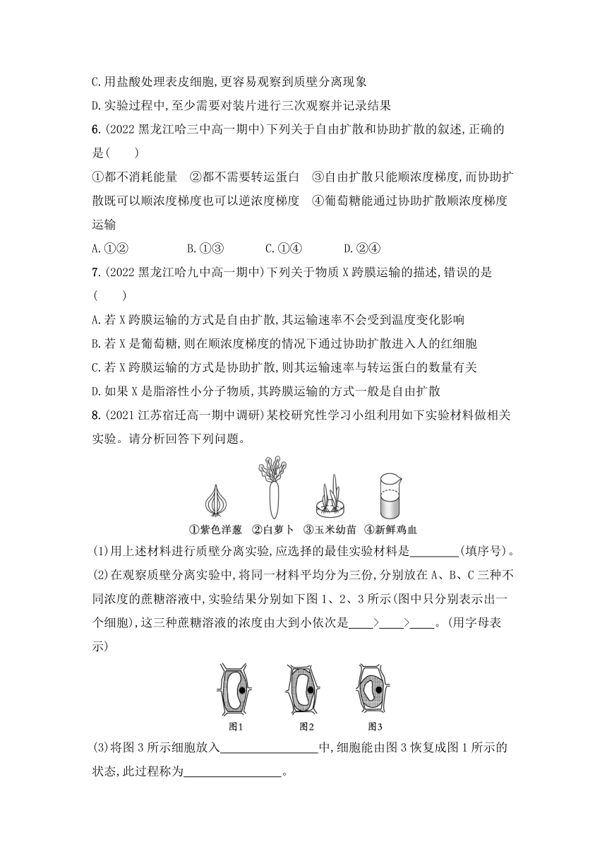 2021-2022学年高一上学期生物人教版必修1--4.1 被动运输同步练习（word版含答案带解析）