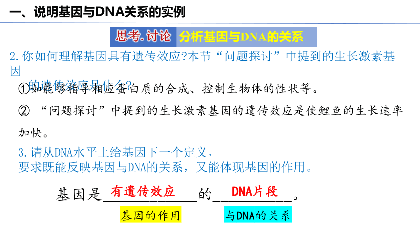 3.4基因通常是具有遗传效应的DNA片段(共31张PPT)课件