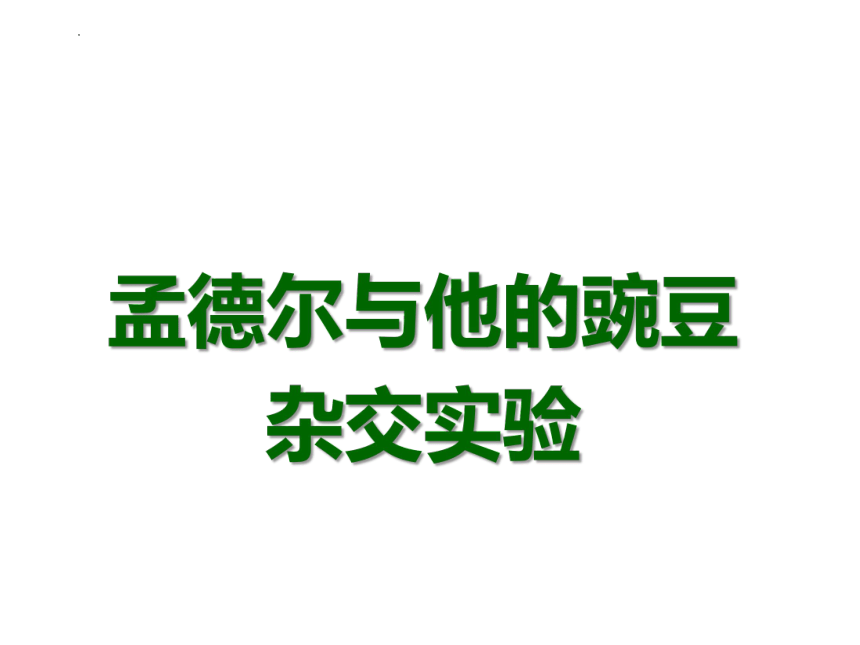 7.2.3基因的显性与隐性课件(共24张PPT) 人教版生物八年级下册