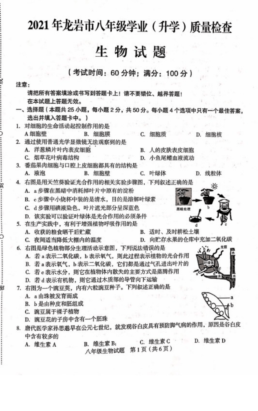 2021年福建省龙岩市八年级质量检测生物试题(pdf版 含答案