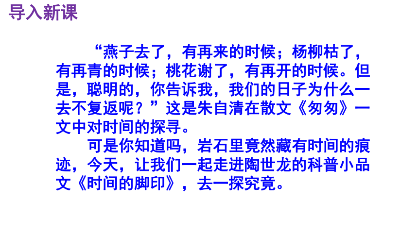 第8课《时间的脚印》课件（共45张PPT）2022-2023学年部编版语文八年级下册