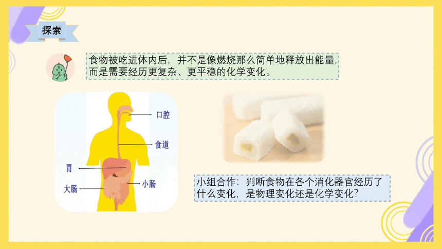 教科版（2017秋） 六年级下册4.6生命体中的化学变化 课件(共16张PPT)