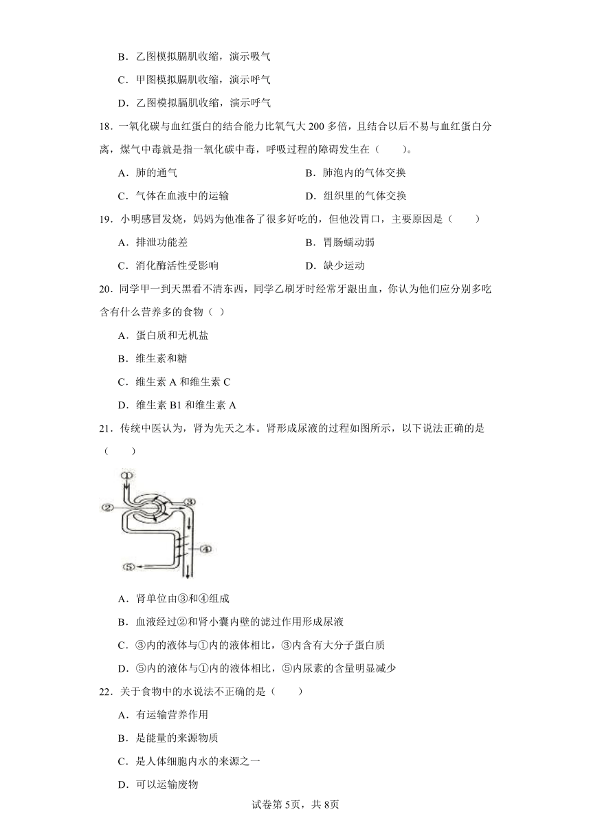 冀少版七年级下期中模拟试卷（一）(含解析)