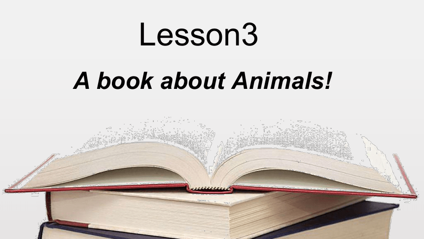 川教版三起 五下Unit1 Lesson 3 A Book about Animals课件（15张）
