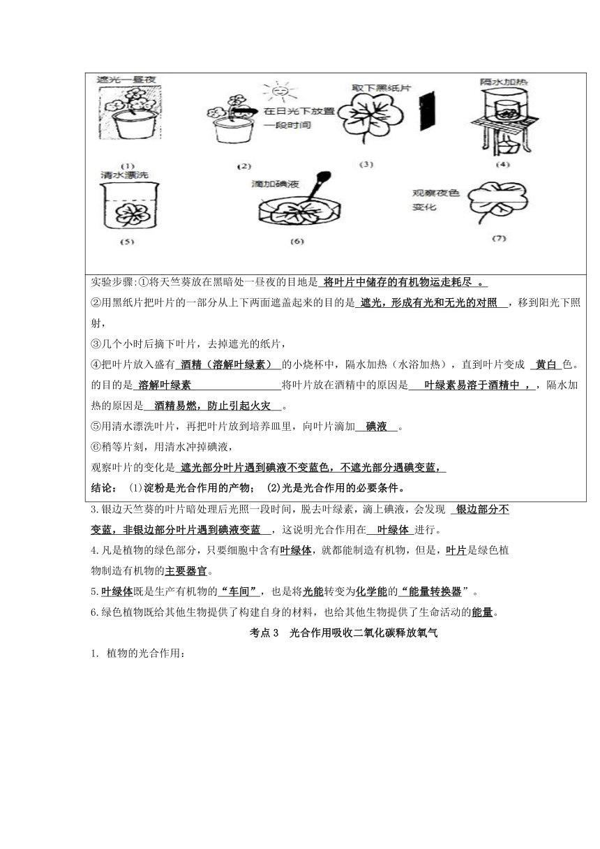 专题05 绿色植物的蒸腾作用、光合作用和呼吸作用作用（知识）-备战中考生物一轮复习考点（全国通用）