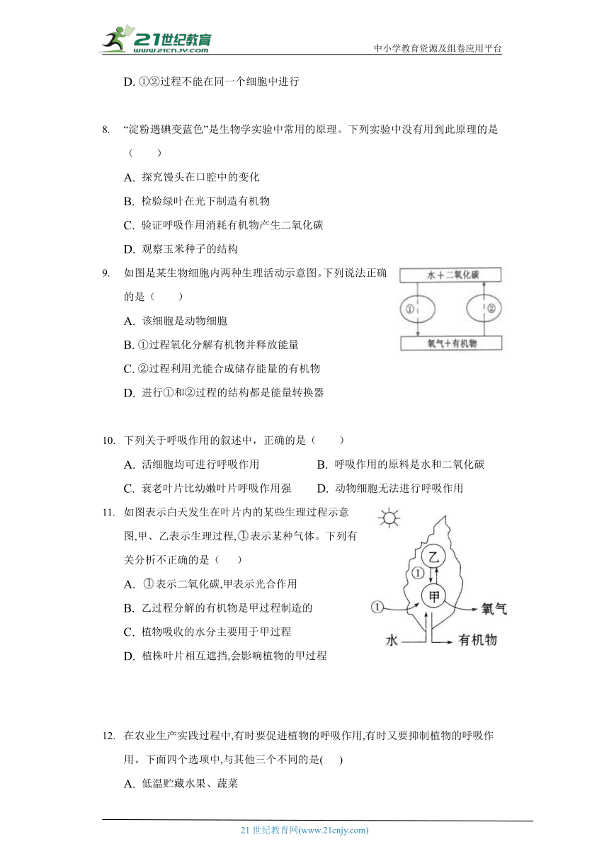 苏教版初中生物七年级上册6.4植物的呼吸作用  同步练习（含答案解析）
