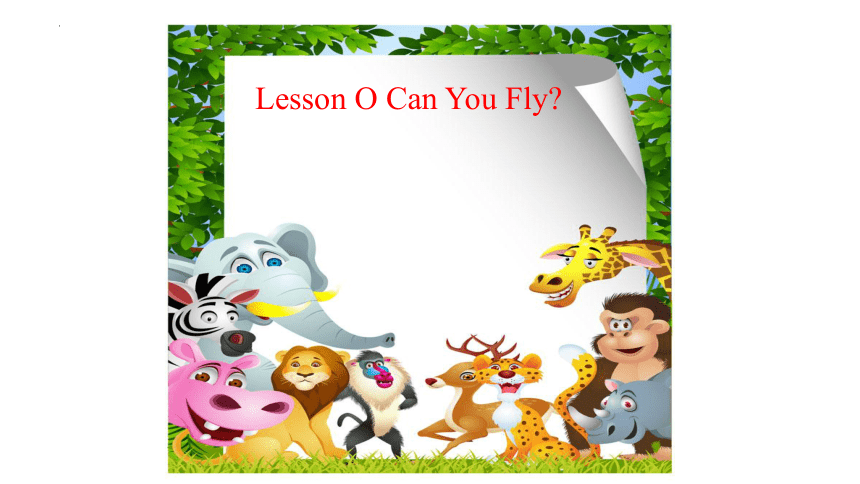 Lesson O Can You Fly 课件（14张ppt）