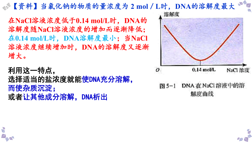 3.1.1DNA的粗提取与鉴定-(共21张PPT)课件人教版选择性必修三