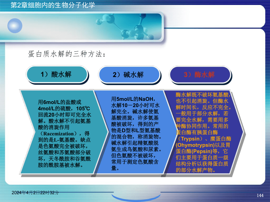 2.4蛋白质化学 课件(共65张PPT)- 《环境生物化学》同步教学（机工版·2020）