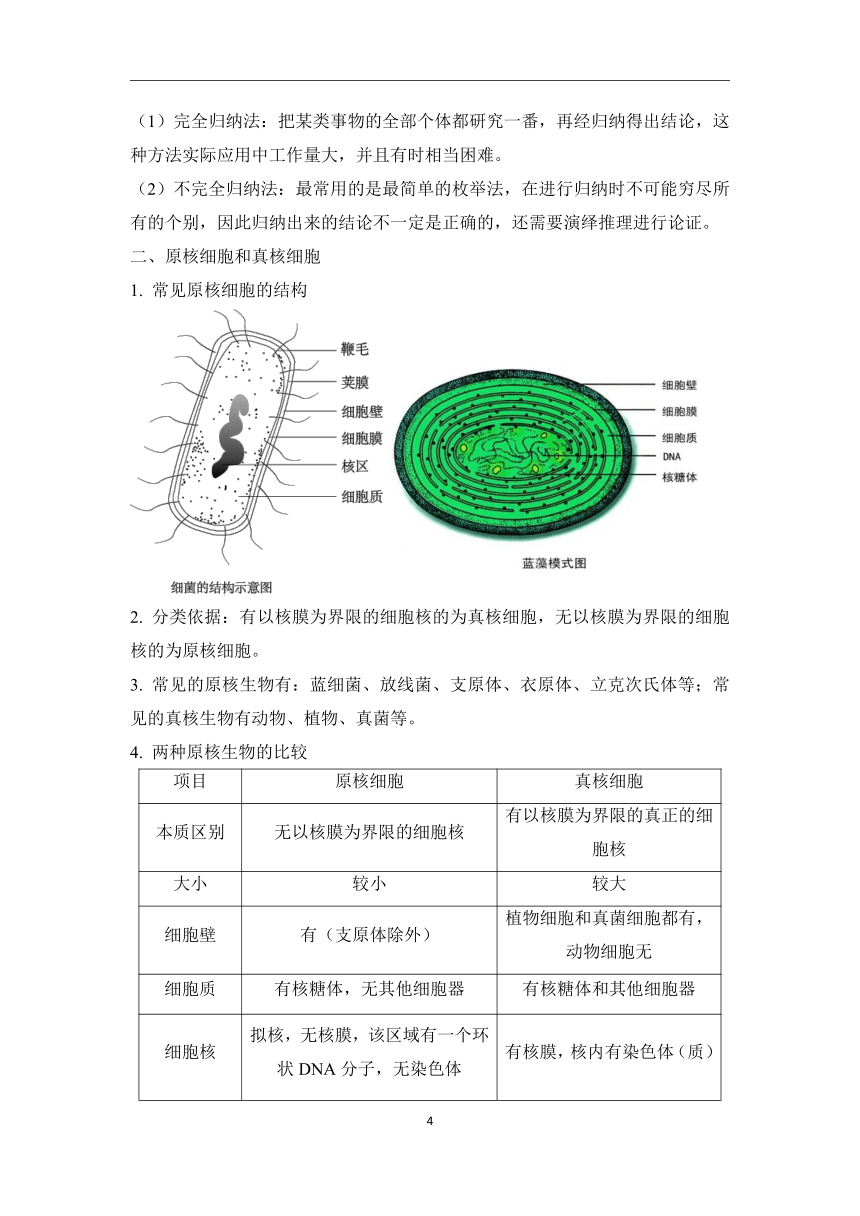 第1章 走近细胞（2）细胞学说学案—2023-2024学年初升高生物学人教版（2019）精准链接