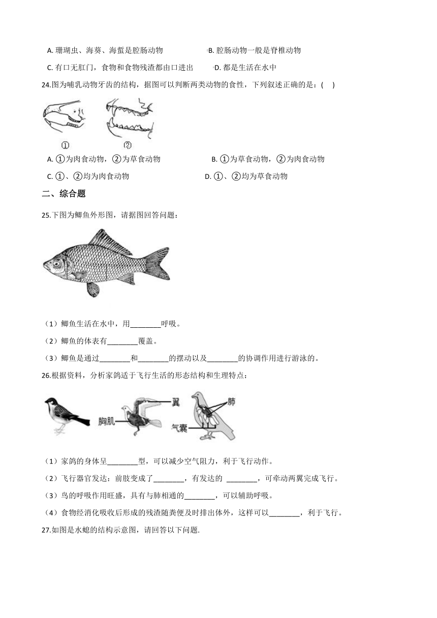 北师大版八年级下册生物 第22章 物种的多样性 单元测试题（word版含答案）