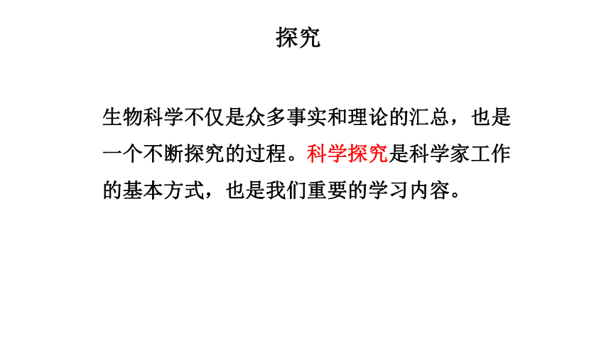 初中生物人教版七年级上册1.2.1生物与环境的关系（第二课时）课件(共20张PPT)