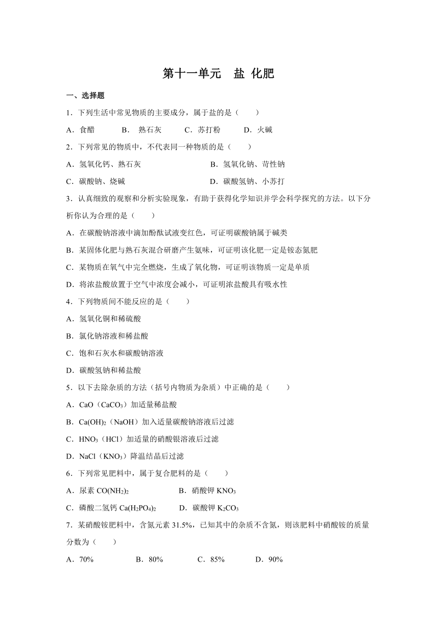 第十一单元 盐 化肥单元测试--2020-2021学年九年级化学人教版下册（word版 含答案）