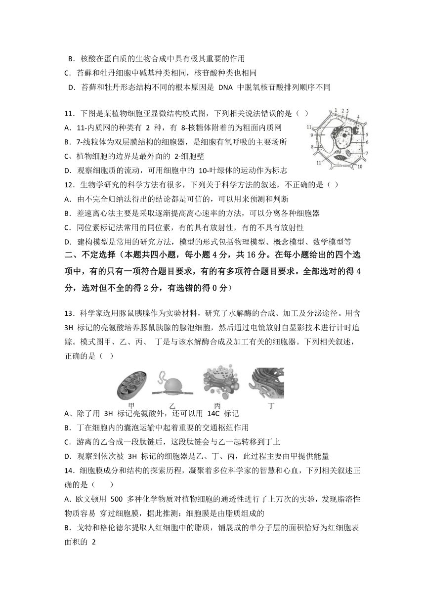 湖南省宁乡市四校2021-2022学年高一上学期12月联考生物试题（Word版含答案）