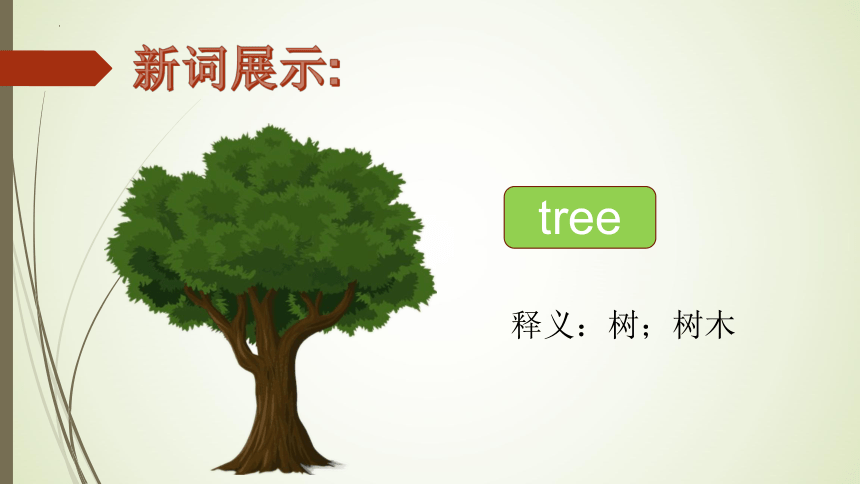 Unit 6 In a nature park Part B Let’s learn 课件(共16张PPT)
