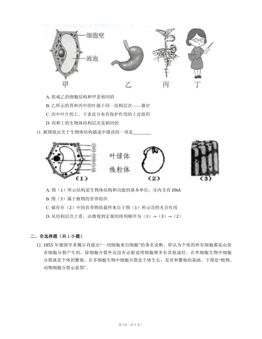 北京课改版七年级上册 3.2 生物体 第2课时 人体的结构层次 基础训练（附答案）