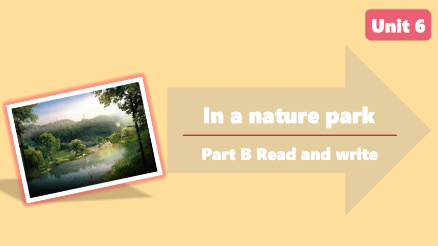 Unit 6 In a nature park B Read and write课件(共25张PPT)