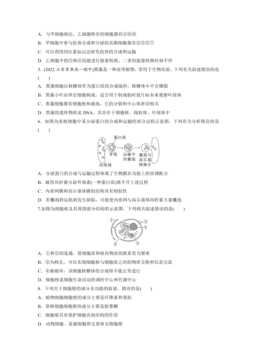 2022-2023学年苏教版2019高中生物必修1 第二章　细胞的结构和生命活动  章末检测试卷(二)（word版含解析）