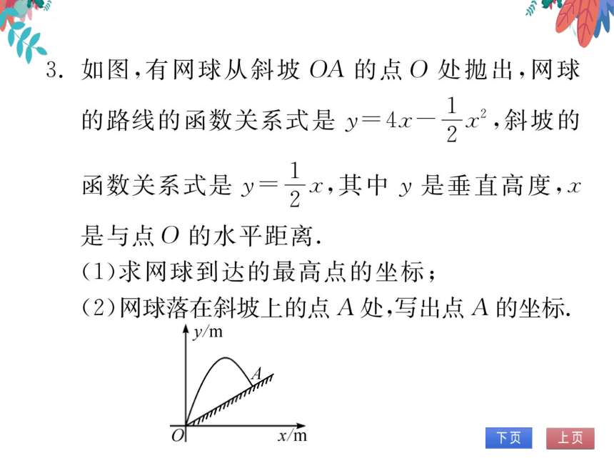 【沪科版】数学九年级上册 第21章 专题二 二次函数的综合应用 习题课件
