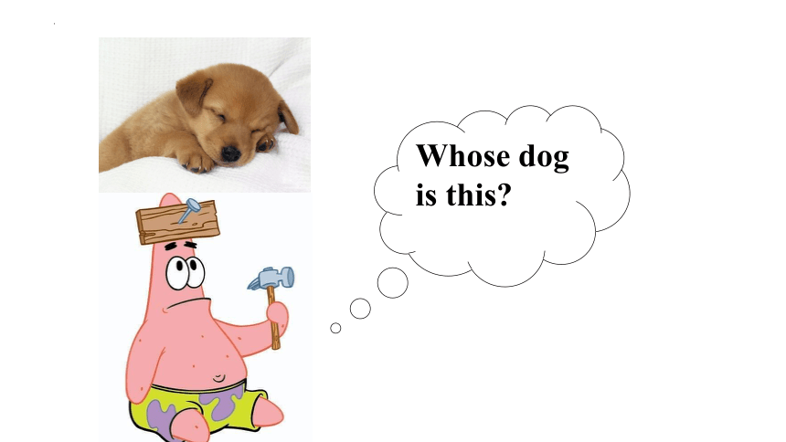 Unit5 Whose dog is it？Part A talk+learn课件(共30张PPT)