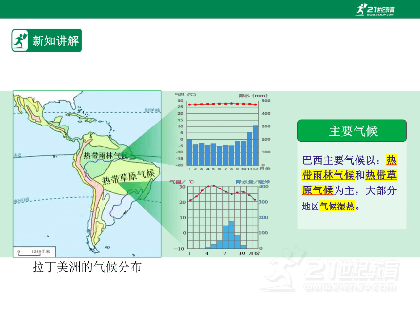 人教版七年级地理 下册 第九章 9.2 巴西 第1课时 课件（共46张PPT）