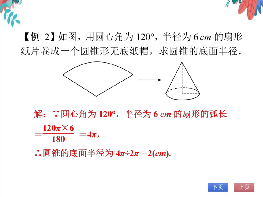 【人教版】数学九年级全一册 24.4.3 弧长和扇形面积(3)——圆锥的侧面积和全面积 随堂练习（课件版）