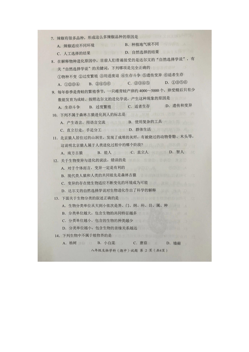 广东省揭阳市揭东区2022-2023学年八年级下学期期中教学质量监测生物学科试题（图片版含答案）