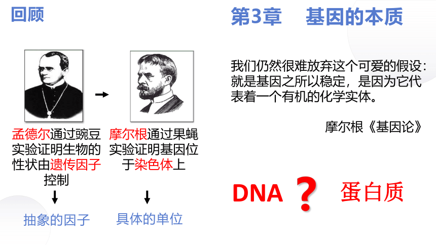 生物人教版（2019）必修2 3.1DNA是主要的遗传物质（共33张ppt）