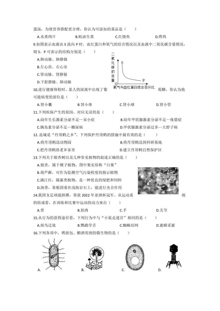 2023年江苏省盐城市解放路学校生物中考模拟试卷（无答案）