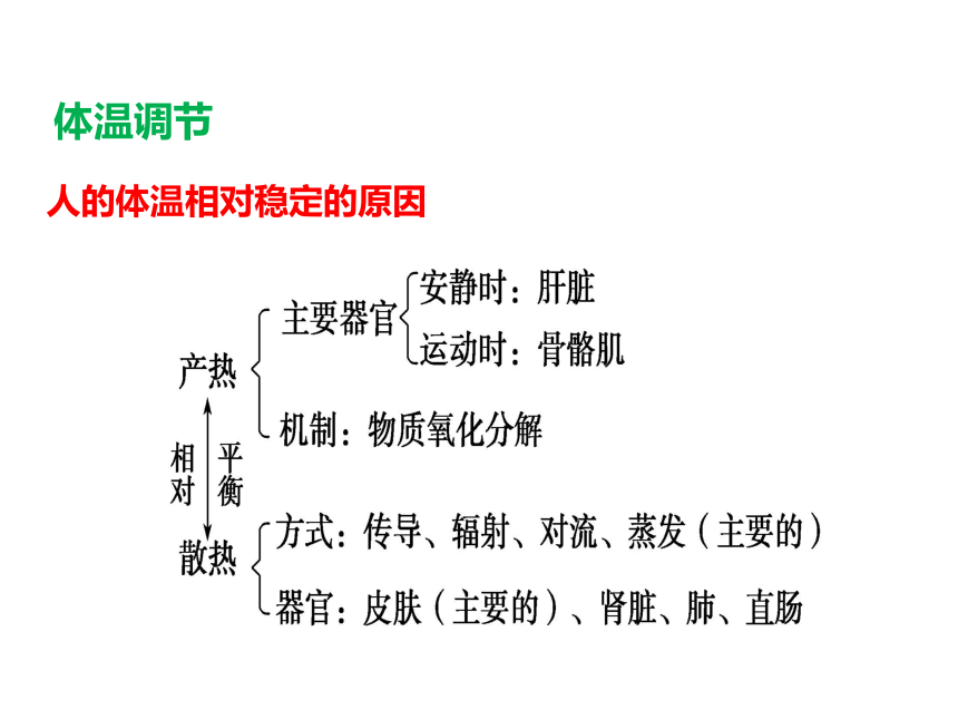 2020-2021学年高二生物人教版必修三2.3神经调节和体液调节的关系课件（32张ppt）