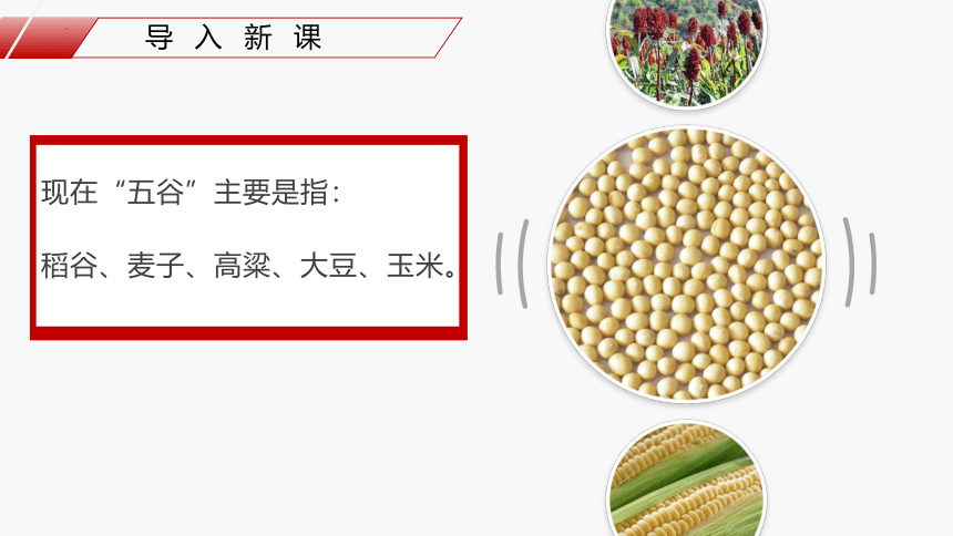 4.1 农业（精品课件）-2022-2023学年八年级上学期同步精品课件（湘教版）(共64张PPT)