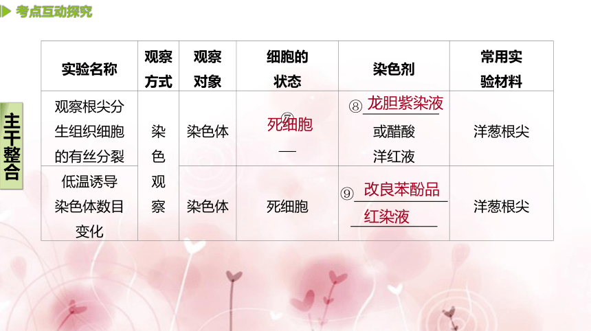 【二轮专题复习课件】第14讲　教材基础实验(共66张PPT)