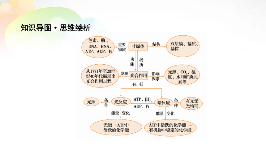 必修1 第3单元 第3讲 能量之源——光与光合作用 课末总结(共35张PPT）