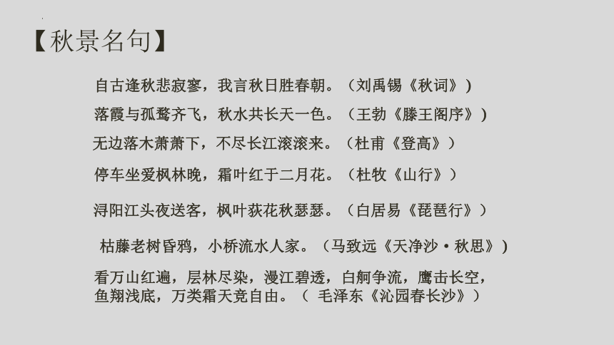 高中语文统编版必修上册14.1《故都的秋》课件（共45张ppt）