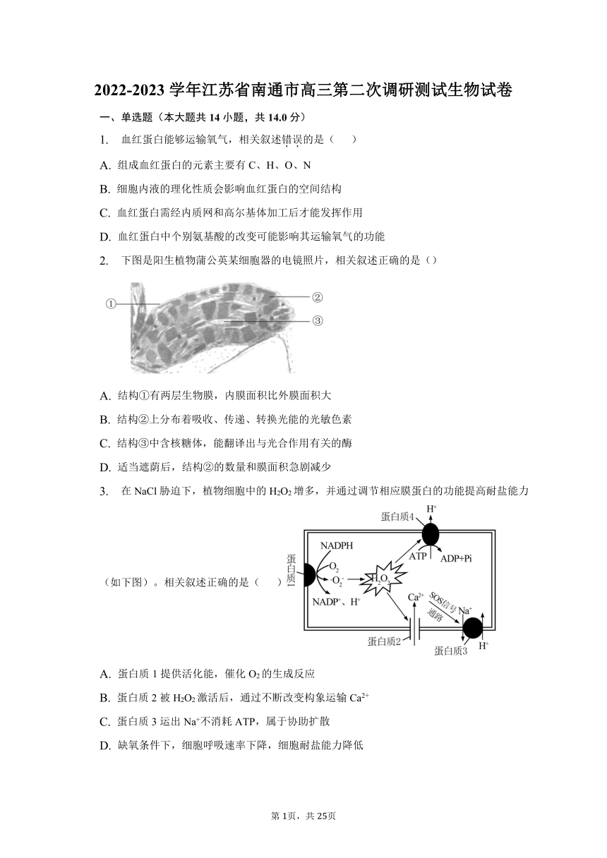 2022-2023学年江苏省南通市高三第二次调研测试生物试卷及答案解析