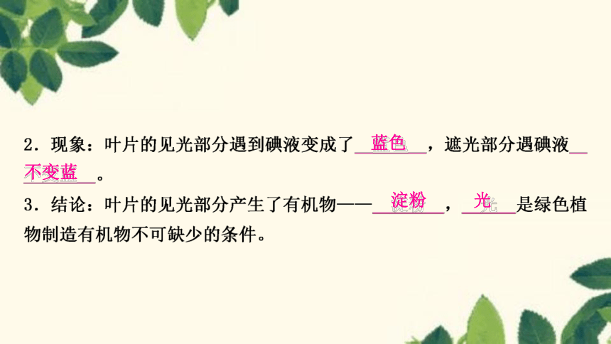 人教版生物七年级上册 第四章　绿色植物是生物圈中有机物的制造者 课件（共21张PPT）