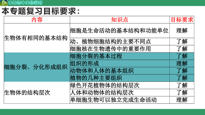 专题二生物体的结构层次课件(共14张PPT)